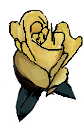 Image:A yellow rose