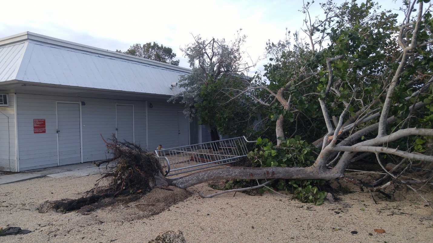 Image: Irma Aftermath