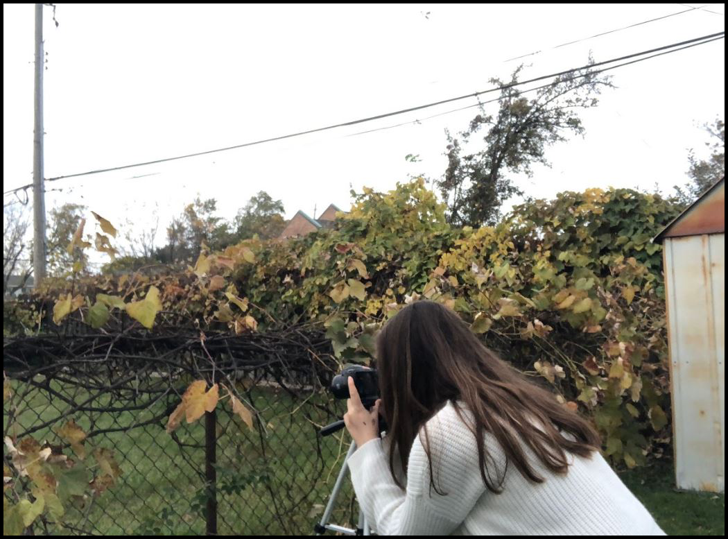 ciarra taking picture of leaves