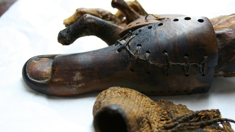 prosthetic toes with working joints, from Ancient Egypt
