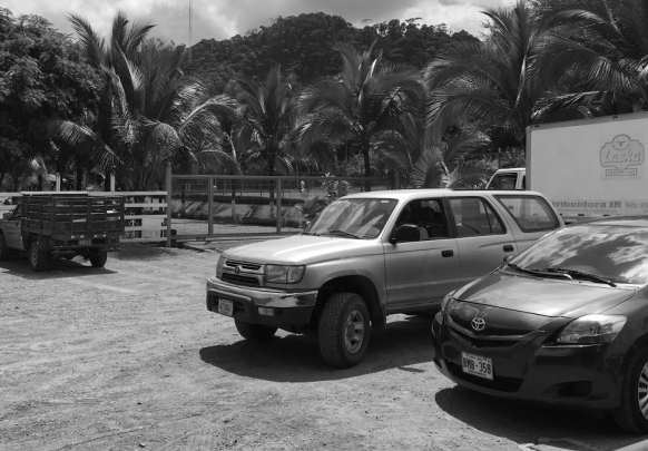 Black and white photo of cars