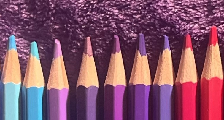 Pink, blue, and purple colored pencils lined up and photographed.